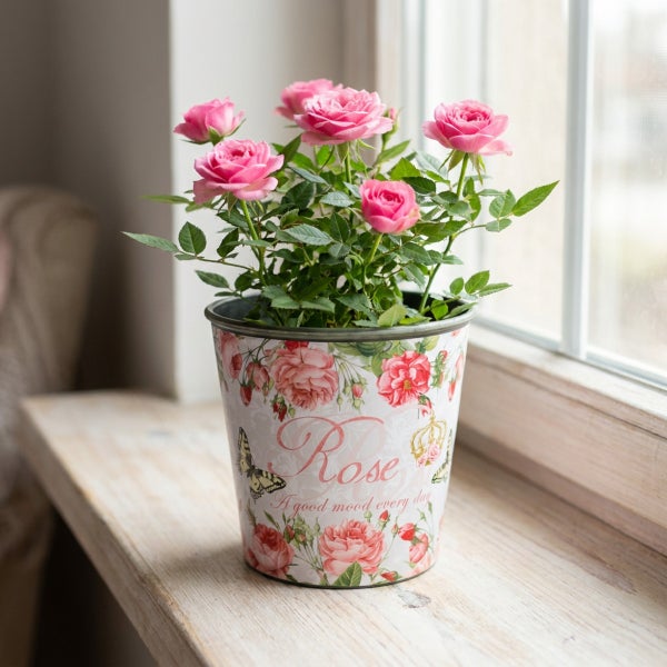 Rosa Blume in einem metallenen Übertopf mit Rosenmuster und Schriftzug Rose auf einer Fensterbank
