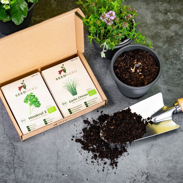 Seedhero Bio-Saatgut-Set mit Petersilie und Schnittknoblauch in einem Karton, daneben Pflanztöpfe, Blumenerde und eine Metall-Pflanzkelle.