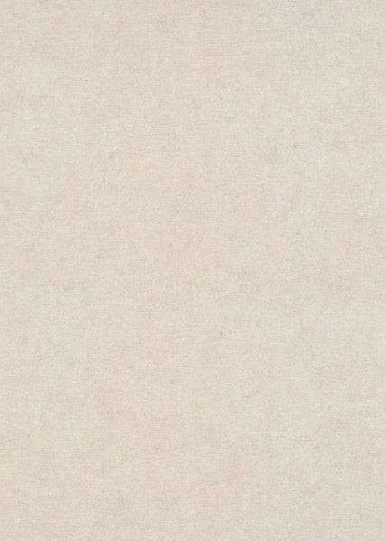 Geräteschuppen aus Metall mit geöffneter Tür