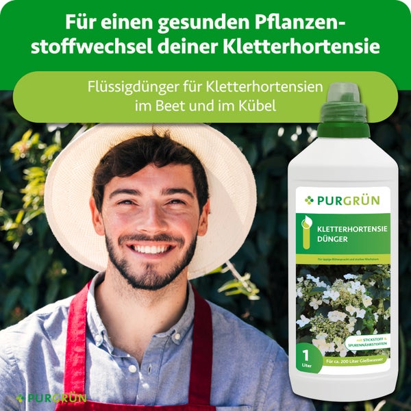 Purgrün Kletterhortensie Dünger, 1 Liter Konzentrat für circa 200 Liter Gießwasser, inklusive Dosierkappe für gesundes Wachstum, Purgrün Logo.