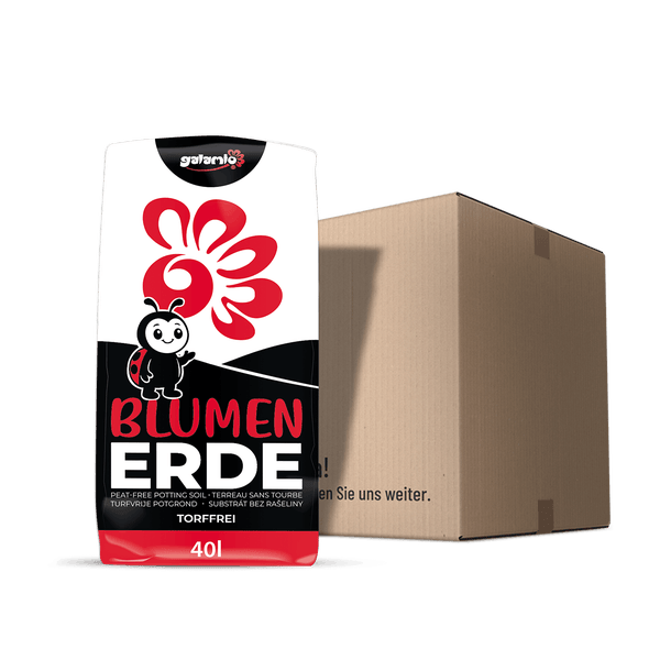 Galamio Blumenerde torffrei 40 Liter im Beutel neben einem Versandkarton.