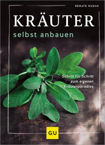 Kräuter selbst anbauen Schritt für Schritt zum eigenen HORNBACH