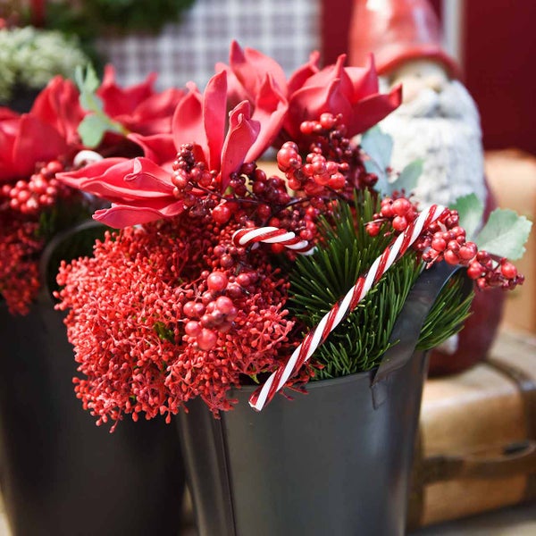 Weihnachtsdekoration mit roten Blumen, Beeren, Tannenzweigen und Zuckerstangen in einem schwarzen Topf.