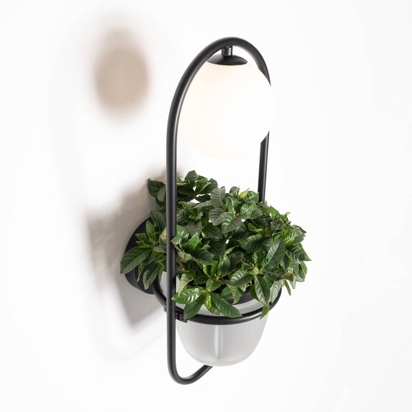 Lindby Wandleuchte, Wandlampe Innen Orna (Modern) in Schwarz aus Metall (1 flammig G9) - Wandstrahler Wandbeleuchtung Schlafzimmer / Wohnzimmer Wohnzimmerleuchte