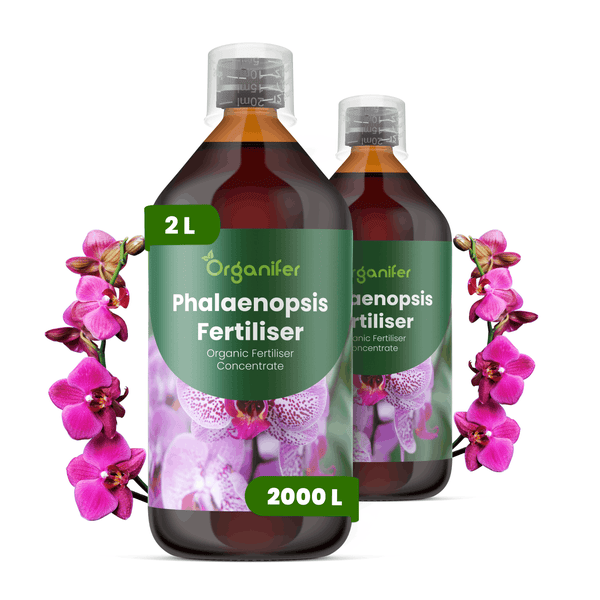 Organifer Phalaenopsis Dünger, organisches Düngerkonzentrat für Orchideen, 2 Liter Flasche, reicht für 2000 Liter.