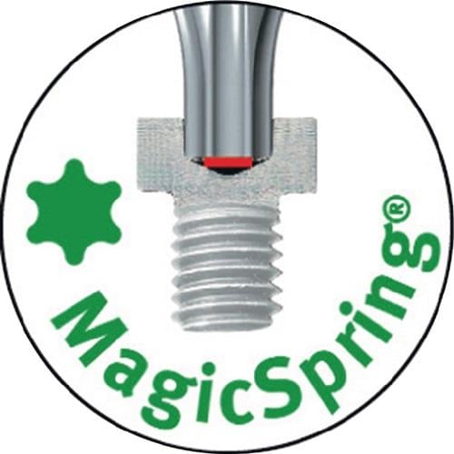 MagicSprings Logo