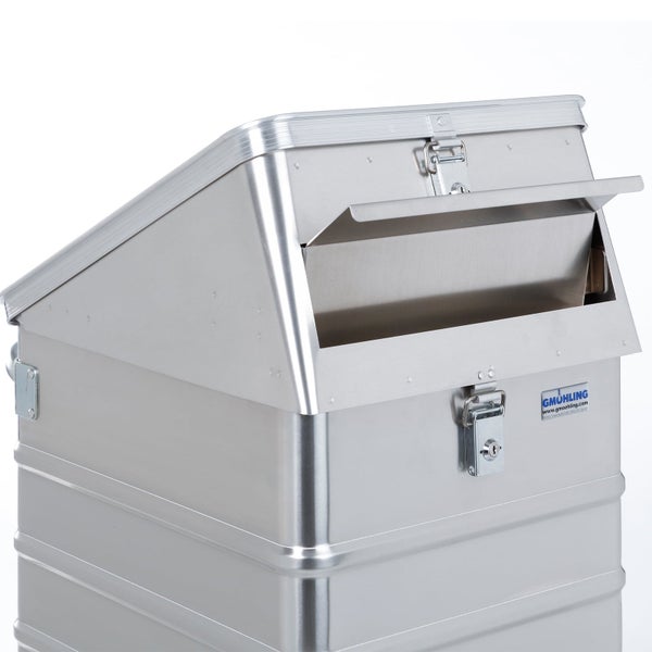 Ginsterpflanze mit gelben Blüten