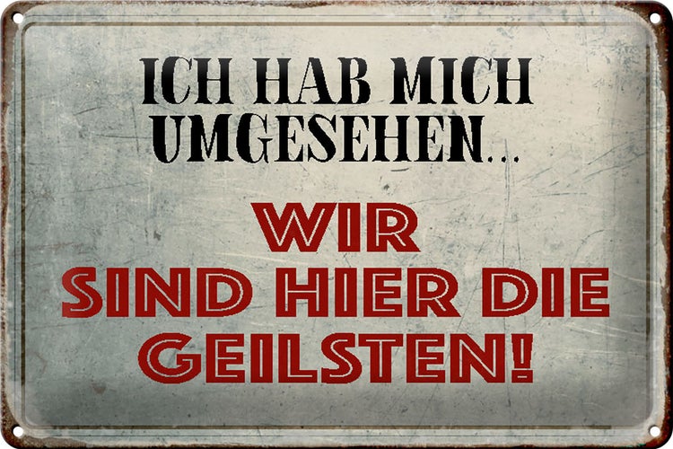 Blechschild Spruch 30x20cm wir sind die Geilsten Schild