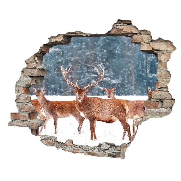 3D Wanddurchbruch selbstklebender Sticker Hirsch im Schnee WS16027_60x50 cm