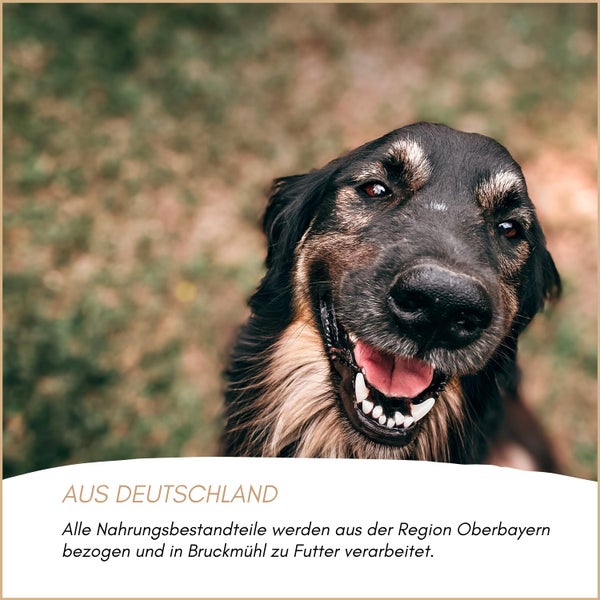 Ein Hund blickt in die Kamera. Der Text besagt, dass das Hundefutter aus Deutschland stammt und Zutaten aus Oberbayern verwendet werden.