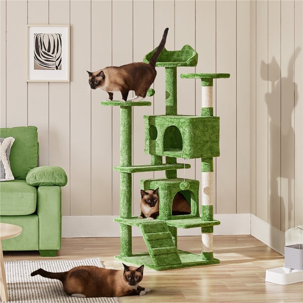Katzenspielbaum mit mehreren Ebenen, Höhlen und Kratzstämmen in einem Wohnzimmer mit Katzen