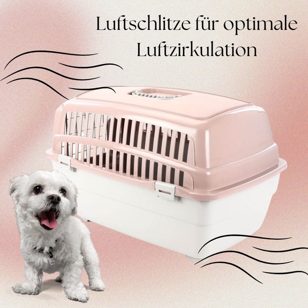 Haustiertransportbox mit Belüftungsschlitzen für optimale Luftzirkulation.