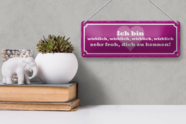 Blechschild Spruch 27x10cm bin wirklich froh dich zu kennen Dekoration