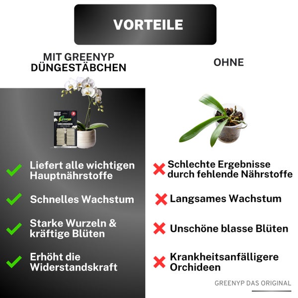 Greenyp 60x Orchideen Düngestäbchen I Universal NPK Orchideendünger für kraftvolle Blüten I Langzeitdünger mit Extra Eisen und 3 Monate Düngekraft.
