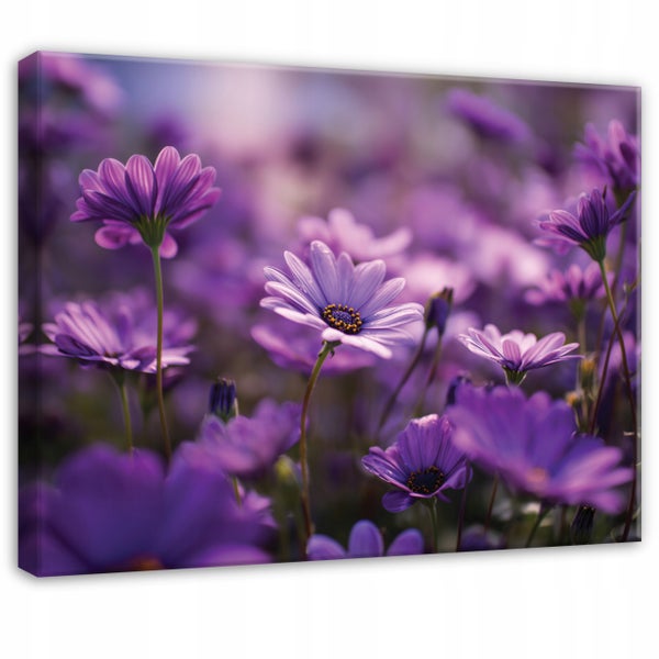 Leinwandbild mit einer Nahaufnahme von violetten Blumen mit gelbem Zentrum.