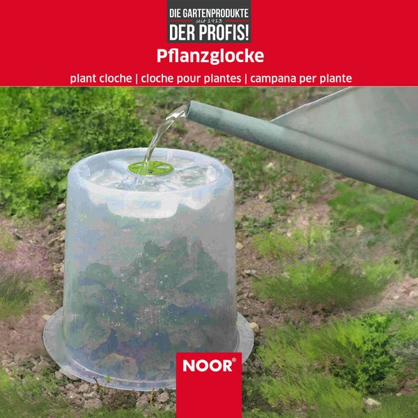 Pflanzglocke MODUL'O - Ø 35 cm x 30 cm Höhe - mit Lüftungsgitter für ideales Mikroklima für Ihre Pflanzen