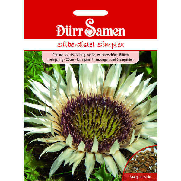 Kinderzimmer mit Hundemuster-Tapete, Bett und Dekoration