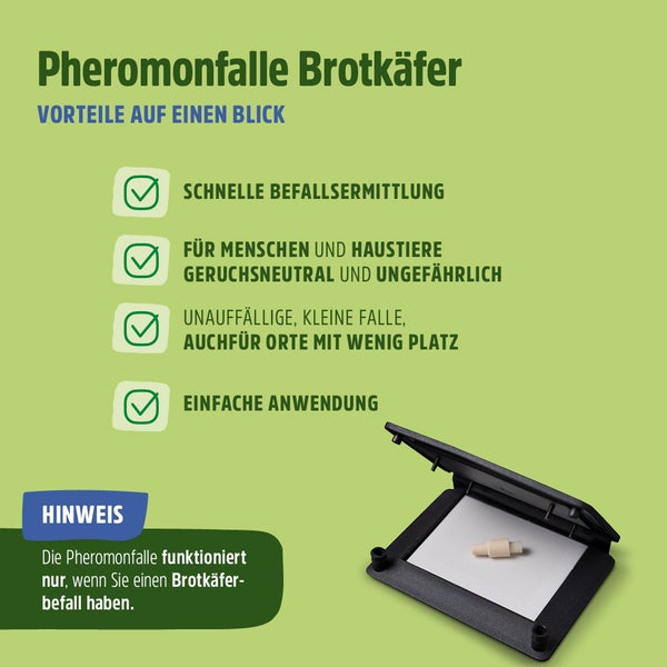 Brotkäferfalle giftfreie Pheromonfalle