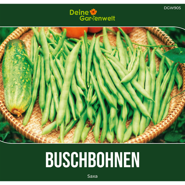 Deine Gartenwelt Buschbohnen Saxa Saatgut, Abbildung von grünen Bohnen und einer Gurke in einem Korb.