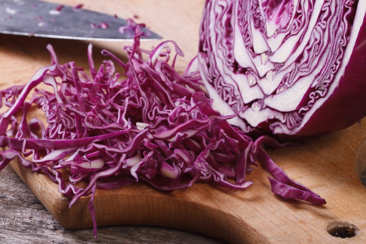 SAFLAX  - BIO - Rotkohl - Red Drumhead - Brassica oleracea var. capitata - 250 Samen