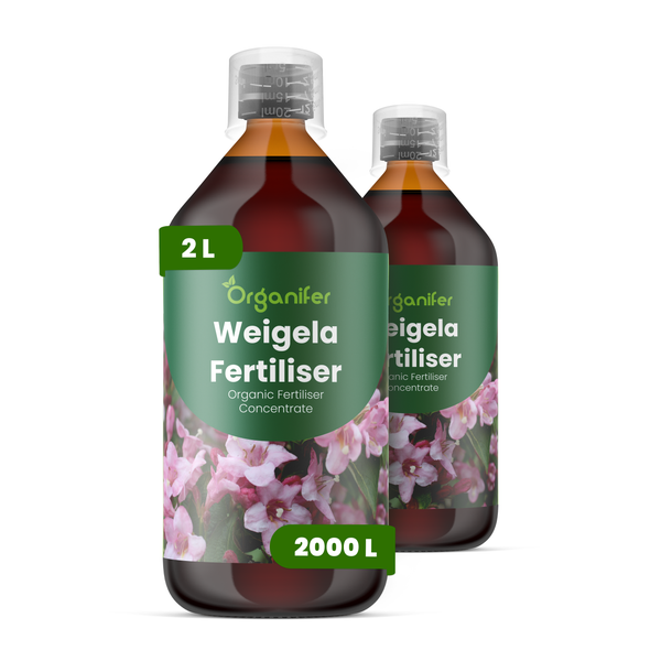 Organifer Weigela Dünger, zwei 2-Liter-Flaschen organisches Düngerkonzentrat für Weigelien.