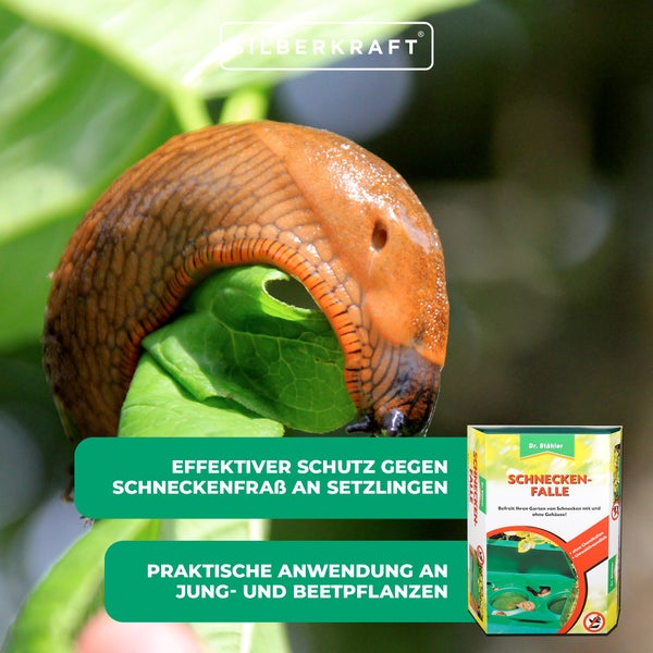 Clevere Schnecken-Falle – Wiederverwendbare Falle zur Schneckenbekämpfung – Ohne Giftstoffe – Für Gärten, Beete & Terrassen