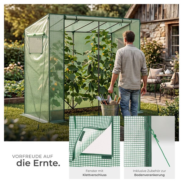 Foliengewächshaus im hellen Garten mit Gurkenpflanzen, integriertem Fenster mit Klettverschluss und Zubehör für die Bodenverankerung.