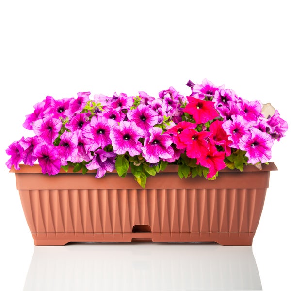 BigDean 3x Blumenkasten mit abnehmbarem Untersetzer - Terracotta 50 cm lang aus bruchsicherem Kunststoff - Balkonkasten Pflanzkasten mit Wasserspeicher für Innen- & Außenbereich geeignet - Made in Europe
