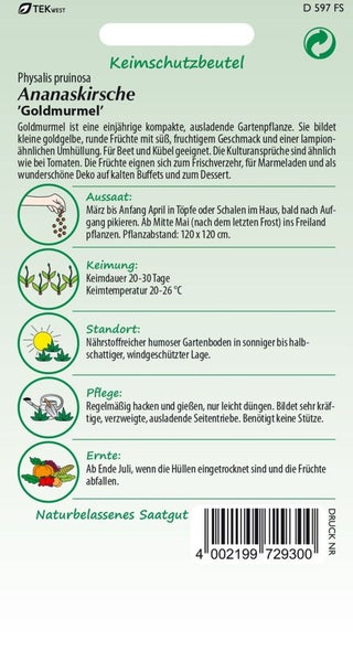 Samenpackung Ananaskirsche 'Goldmurmel' mit Informationen zu Aussaat, Keimung, Standort, Pflege und Ernte