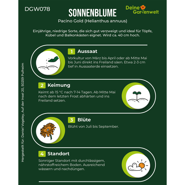 Infografik zur Anzucht der Sonnenblume Pacino Gold mit Details zu Aussaat, Keimung, Blüte und Standort. Deine Gartenwelt Logo.