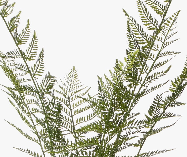 Künstlicher Farn mit fein gefiederten Blättern und mehreren Stielen.