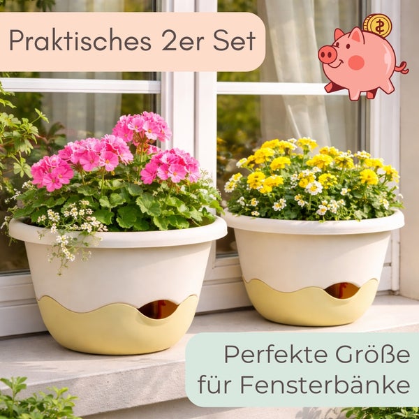 Zwei runde Blumentöpfe im Set auf einer Fensterbank bepflanzt mit pinken und gelben Blumen.