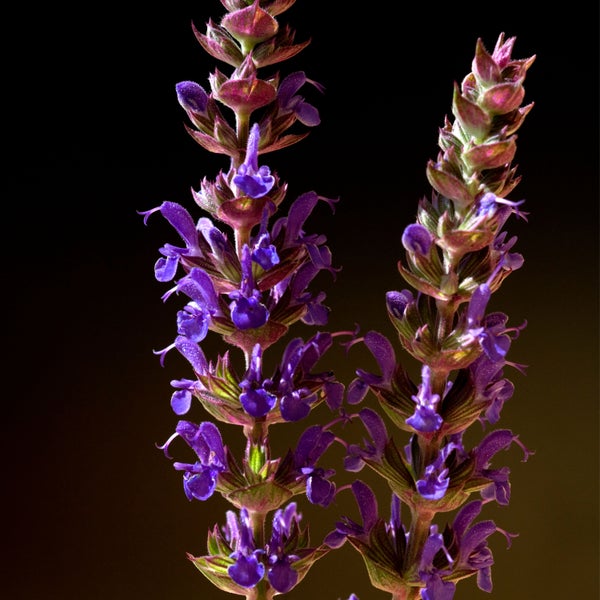 Werkzeugkoffer aus Kunststoff mit BGS Technic Logo