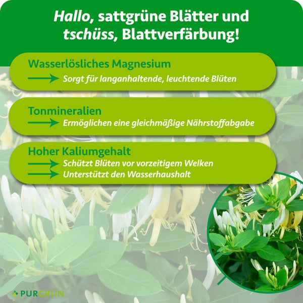 Infografik zu Pflanzendünger: Magnesium für Blüten, Tonmineralien zur Nährstoffabgabe und Kalium gegen Welken für gesundes Pflanzenwachstum.