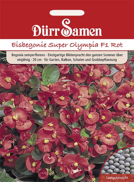 Samentüte für Eisbegonie Super Olympia F1 Rot mit Dürr Samen Logo, Abbildung der roten Blüten, grünen Blättern und Nahaufnahme der Samen.