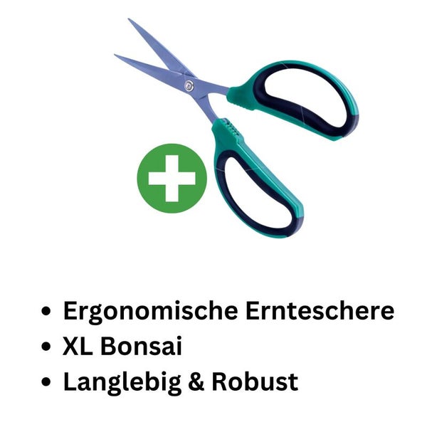 Bonsai-Schere XL – Gartenschere mit 60 mm Klinge & breitem Griff | Präzise & ergonomisch für Bonsai, Gartenpflege & Maniküre