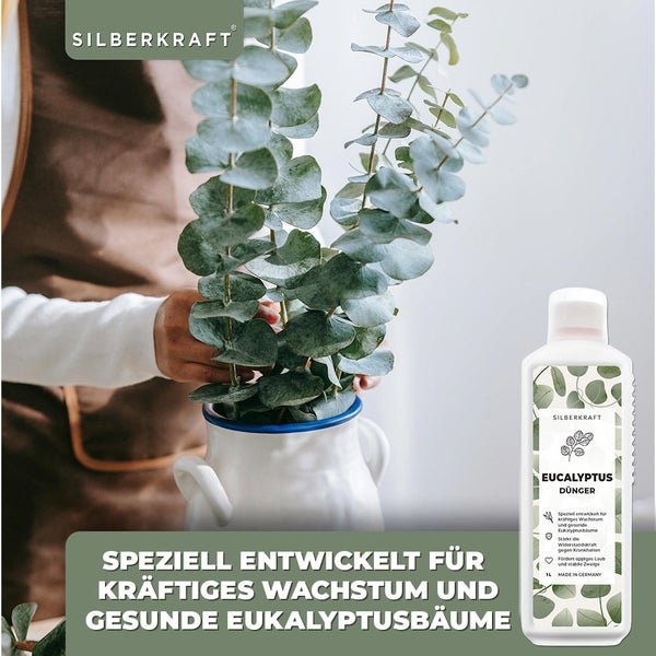 SILBERKRAFT Eukalyptus Dünger – Für Eukalyptusbäume – 1 Liter
