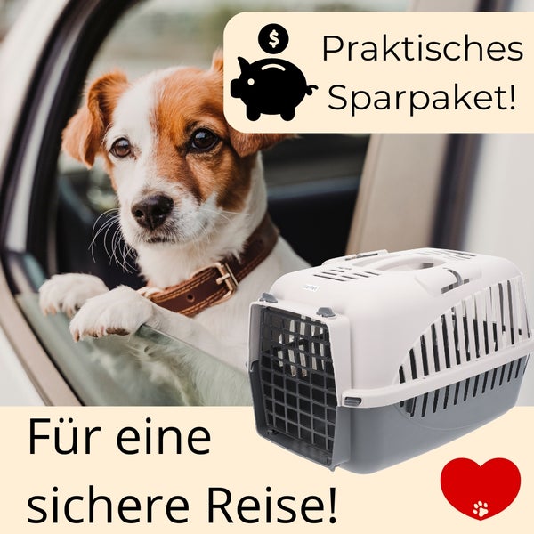 Hund im Auto mit einer grauen und weißen Haustiertransportbox für sichere Reisen