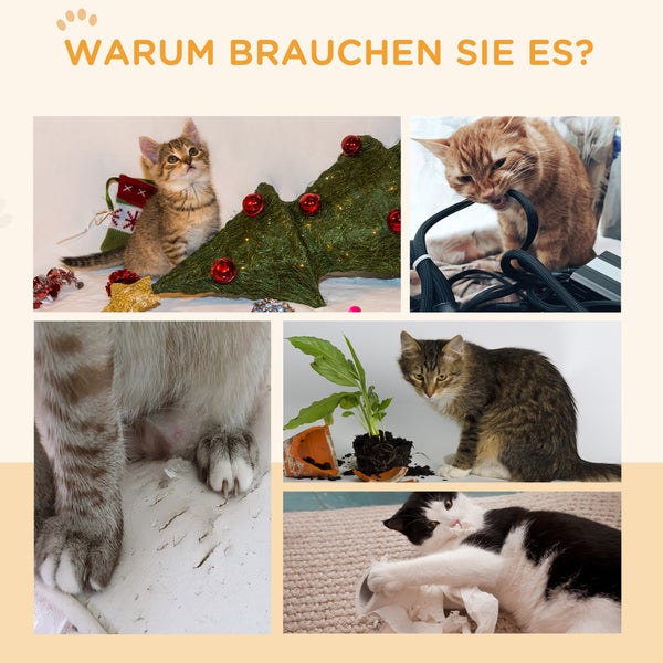 Collage von Katzen, die Kabel, Pflanzen, Tapeten und Dekoration beschädigen. Text Warum brauchen Sie es?