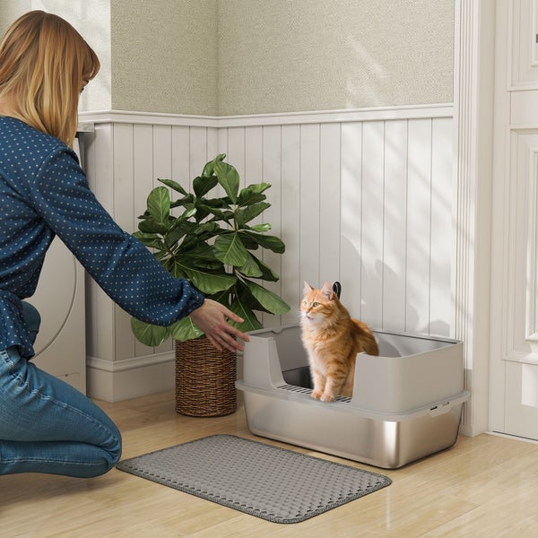 Katzenklo mit Edelstahlschale, orangefarbene Katze im Inneren, graue Matte davor, kniende Person und Zimmerpflanze in hellem Raum mit Holzfußboden.