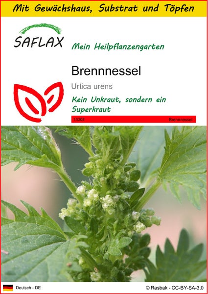 SAFLAX Anzucht Set - Brennnessel - Urtica urens - 150 Samen - Mit Mini-Gewächshaus, Anzuchtsubstrat und 2 Töpfen