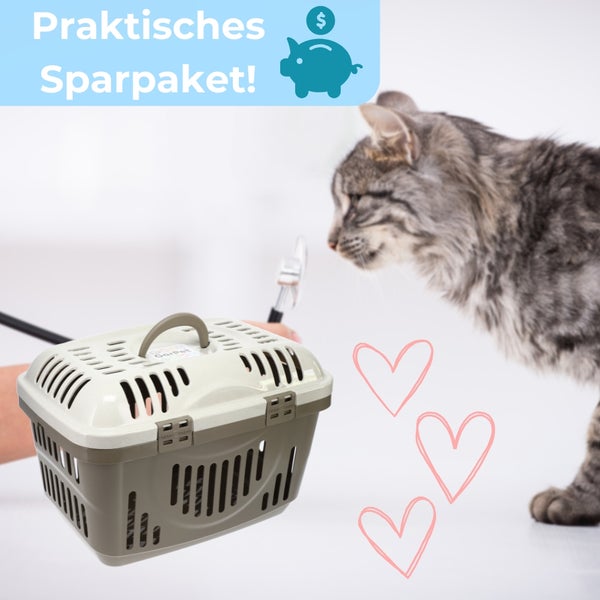 Katze betrachtet eine Haustiertransportbox.