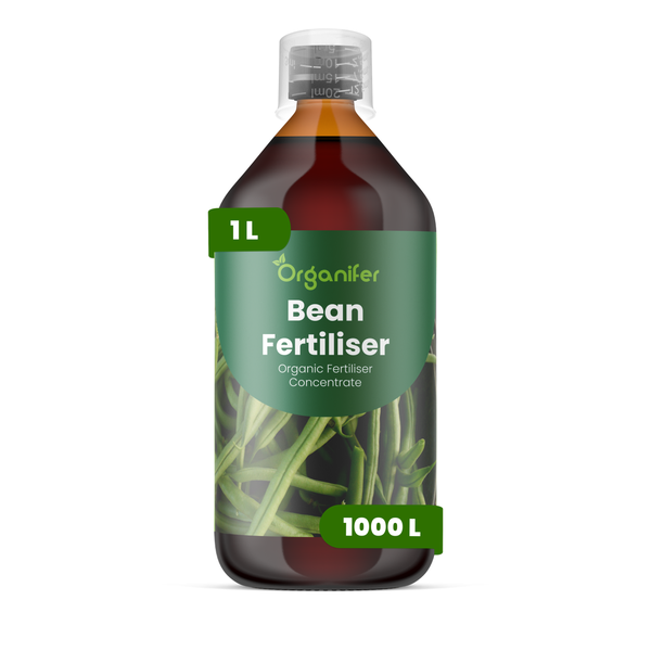 Organifer Bohnendünger, organisches Düngerkonzentrat, 1 Liter Flasche.