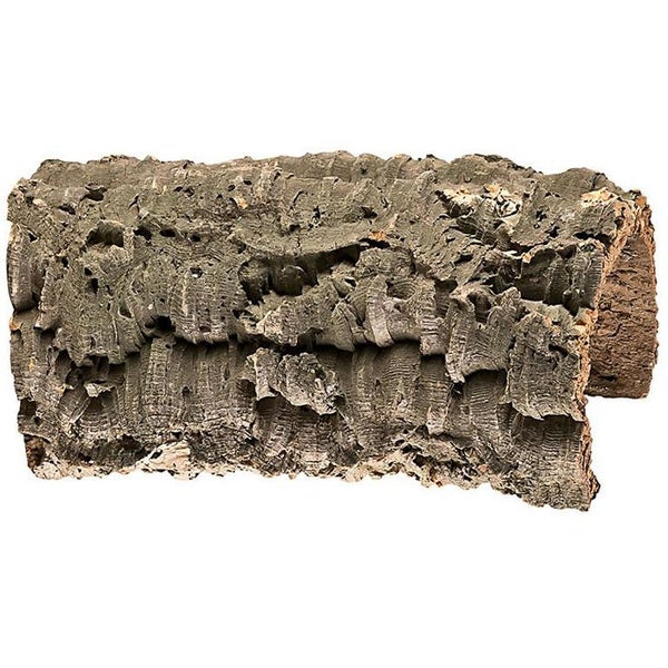 Naturkorkröhre für Terrarien, geeignet als Versteck oder Kletterelement für Reptilien.