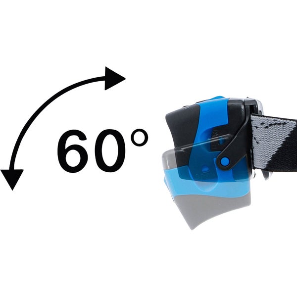 Nahaufnahme einer blühenden Rhododendronpflanze mit grünen Blättern