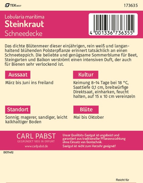 Rückseite einer Samentüte für Steinkraut Schneedecke (Lobularia maritima) mit Hinweisen zu Aussaat, Kultur und Standort. Carl Pabst Logo.