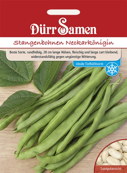 Dürr Samen Logo auf Samentüte für Stangenbohnen Neckarkönigin mit Abbildung grüner Bohnenhülsen, Saatgutansicht und Symbol für Tiefkühleignung.