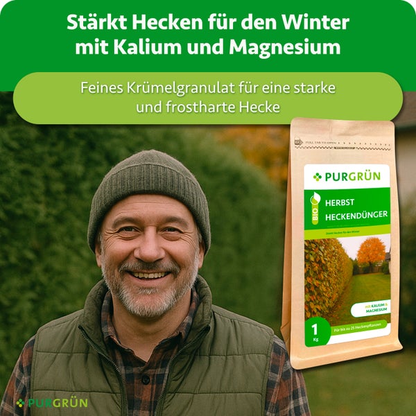 PURGRÜN Herbst Heckendünger in der Ein Kilogramm Packung mit Kalium und Magnesium für frostharte Hecken vor einer Heckenlandschaft.