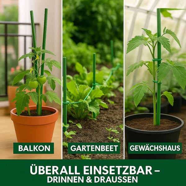 Pflanzenstützen zur Verwendung auf dem Balkon, im Gartenbeet und im Gewächshaus