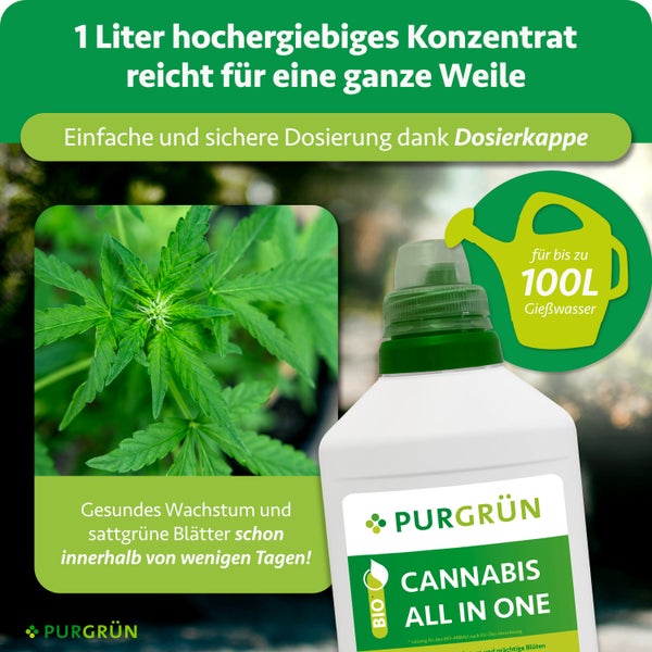 Purgrün Cannabis All in One Flüssigdünger Konzentrat, 1 Liter Flasche mit Dosierkappe für 100 Liter Gießwasser, für gesundes Pflanzenwachstum.